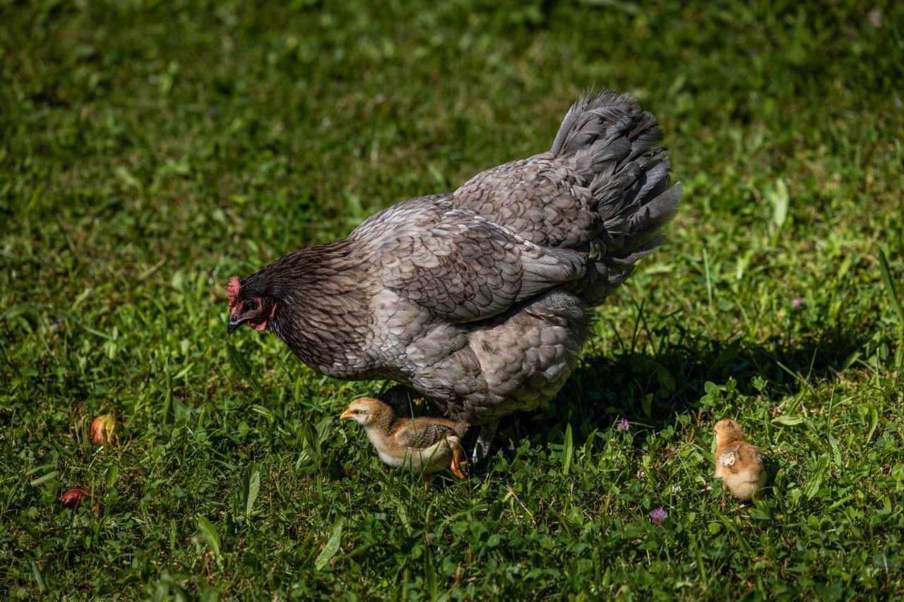 Wassererlehen Bischofswiesen Dış mekan fotoğraf